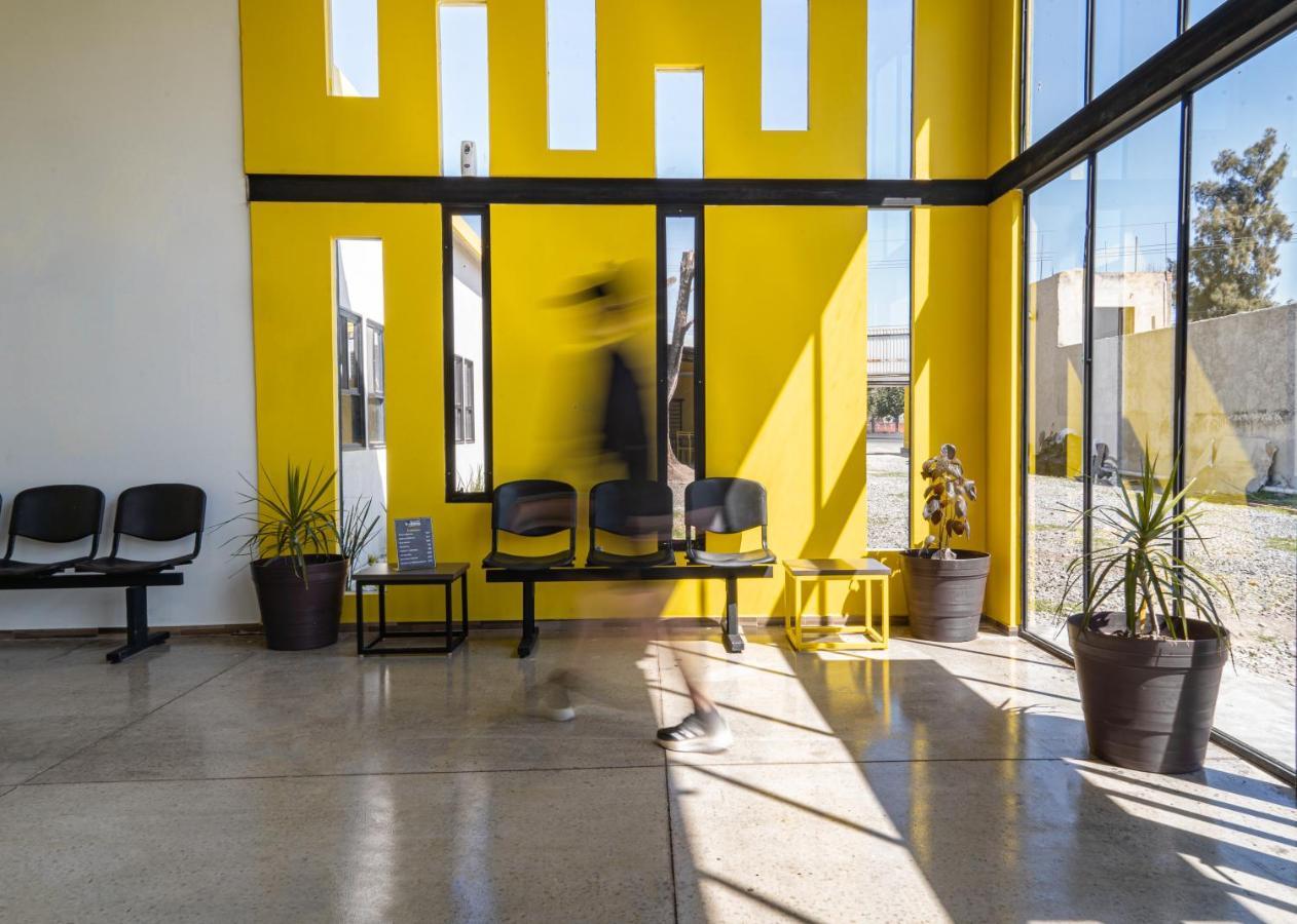Check Inn Hostal Aeropuerto Gdl Las Pintas エクステリア 写真